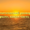 Морфологический разбор слова «покрыл», какая часть речи