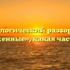Морфологический разбор слова «положенные», какая часть речи