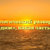 Морфологический разбор слова «посадим», какая часть речи