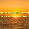 Морфологический разбор слова «послужить», какая часть речи