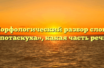 Морфологический разбор слова «потаскуха», какая часть речи