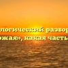 Морфологический разбор слова «похожая», какая часть речи