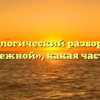 Морфологический разбор слова «прибрежной», какая часть речи