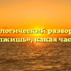 Морфологический разбор слова «продолжишь», какая часть речи