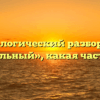 Морфологический разбор слова «продольный», какая часть речи