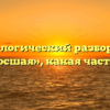 Морфологический разбор слова «проросшая», какая часть речи