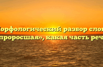 Морфологический разбор слова «проросшая», какая часть речи