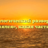 Морфологический разбор слова «размялся», какая часть речи