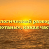 Морфологический разбор слова «разработаны», какая часть речи