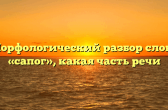 Морфологический разбор слова «сапог», какая часть речи