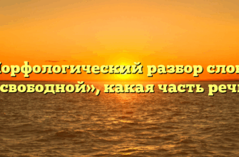Морфологический разбор слова «свободной», какая часть речи