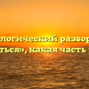 Морфологический разбор слова «сдаться», какая часть речи