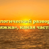 Морфологический разбор слова «сермяжка», какая часть речи