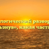 Морфологический разбор слова «скользнув», какая часть речи