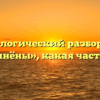 Морфологический разбор слова «соединёны», какая часть речи
