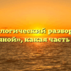 Морфологический разбор слова «соляной», какая часть речи