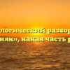 Морфологический разбор слова «сосняк», какая часть речи