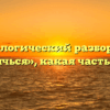 Морфологический разбор слова «спрячься», какая часть речи