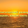 Морфологический разбор слова «станция», какая часть речи
