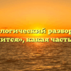 Морфологический разбор слова «стелится», какая часть речи