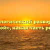 Морфологический разбор слова «стой», какая часть речи