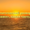 Морфологический разбор слова «травами», какая часть речи