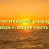Морфологический разбор слова «узнаёшь», какая часть речи