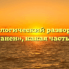 Морфологический разбор слова «устранен», какая часть речи
