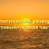 Морфологический разбор слова «фиолетовый», какая часть речи