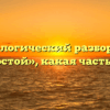 Морфологический разбор слова «холостой», какая часть речи