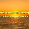 Морфологический разбор слова «чувства», какая часть речи