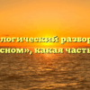 Морфологический разбор слова «чудесном», какая часть речи