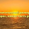 Морфологический разбор слова «шора», какая часть речи