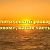 Морфологический разбор слова «шорохом», какая часть речи