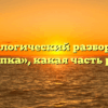 Морфологический разбор слова «щипка», какая часть речи