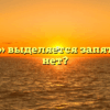 «Надеюсь» выделяется запятыми или нет?