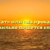 «Напрокат» или «на прокат» — как правильно пишется слово?
