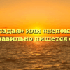 «Не покладая» или «непокладая» — как правильно пишется слово?