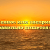 «Непременно» или «неприменно» — как правильно пишется слово?