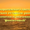 От королевского цвета до мистических оттенков: разбираемся в этимологии и значении слова ‘фиолетовый’