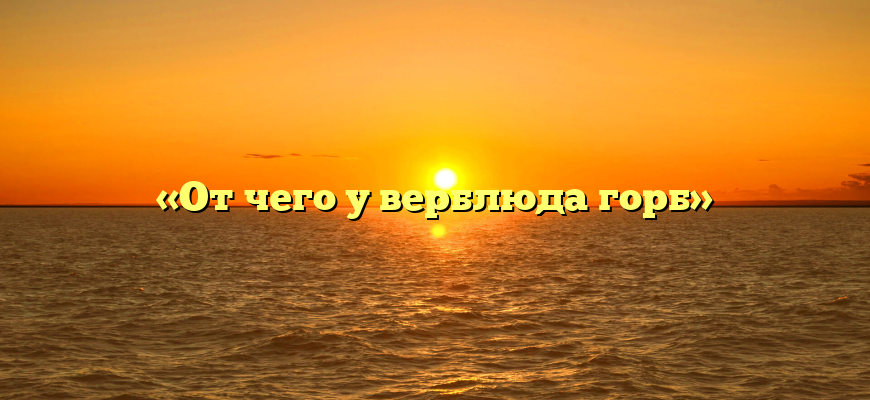 «От чего у верблюда горб»