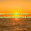 «Поешь» или «по ешь» — как правильно пишется слово?