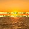 «Полстраницы» или «пол страницы» — как правильно пишется слово?