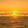 «Предлагаю» или «предлогаю» — как правильно пишется слово?