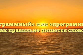 «Программный» или «програмный» — как правильно пишется слово?