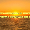 Происхождение и значение фразеологизма «откуда ни возьмись»