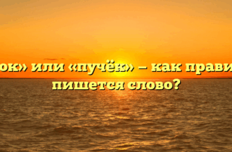 «Пучок» или «пучёк» — как правильно пишется слово?
