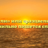 «Расцвели» или «разцвели» — как правильно пишется слово?