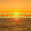 «Роллета» или «ролета» — как правильно пишется слово?