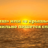 «С крыш» или «с крышь» — как правильно пишется слово?